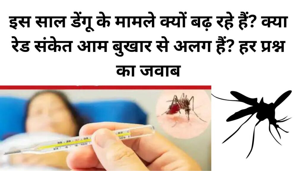 इस साल डेंगू के मामले क्यों बढ़ रहे हैं? क्या रेड संकेत आम बुखार से अलग हैं? हर प्रश्न का जवाब